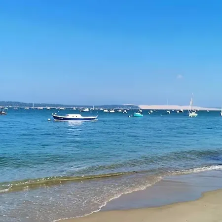 Le Savannah Au Ferret Climatisé Calme Cosy Avec Vayny * Lège-Cap-Ferret