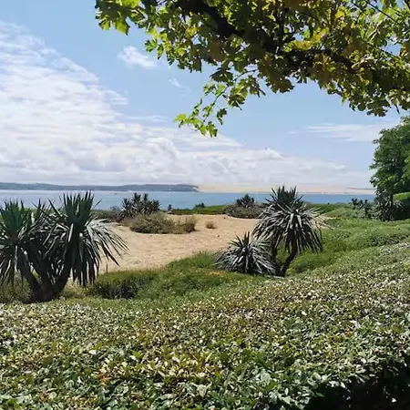 Le Savannah Au Ferret Climatisé Calme Cosy Avec Vayny Lège-Cap-Ferret